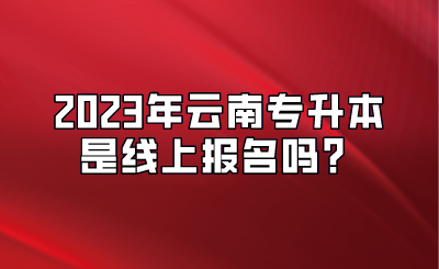 2023年云南專升本是線上報(bào)名嗎？.png