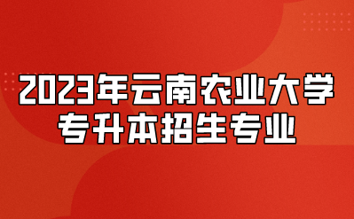 2023年云南農(nóng)業(yè)大學(xué)專升本招生專業(yè)