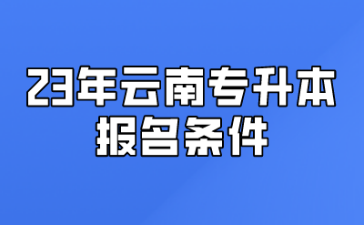 23年云南專升本報名條件