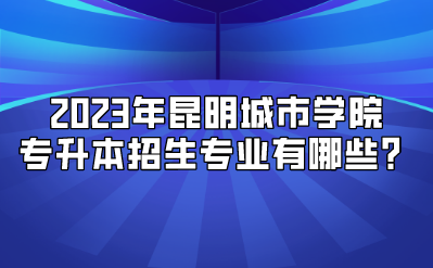 2023年昆明城市學(xué)院專(zhuān)升本招生專(zhuān)業(yè)