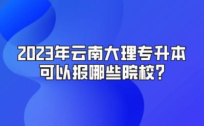2023年云南大理專升本