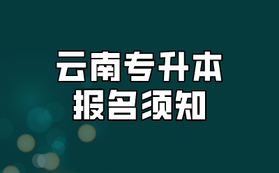 云南專升本報名須知