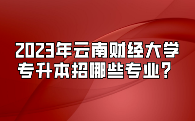 2023年云南財經大學專升本招哪些專業？