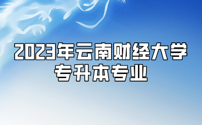 2023年云南財經(jīng)大學專升本專業(yè)