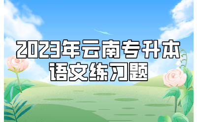 2023年云南專(zhuān)升本語(yǔ)文練習(xí)題
