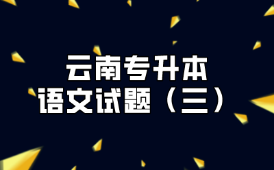 云南專升本語文試題（三）