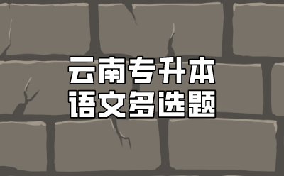 云南專升本語(yǔ)文多選題