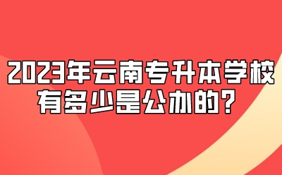 2023年云南專升本學校有多少是公辦的？
