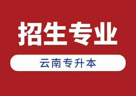 2024年云南專升本招生人數最多專業——會計學.jpg