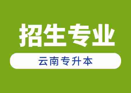 2024年云南專升本招生人數最多專業——財務管理.jpg