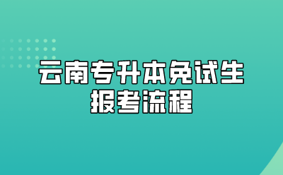 云南專升本免試生報考流程