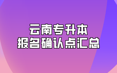云南專升本報名確認點匯總