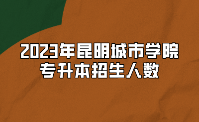 2023年昆明城市學(xué)院專升本招生人數(shù)