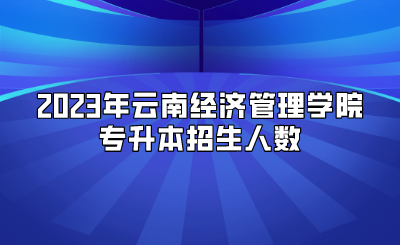 2023年云南經(jīng)濟管理學院專升本招生人數(shù)