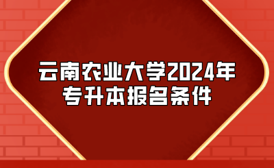 云南農(nóng)業(yè)大學(xué)2024年專升本報(bào)名條件