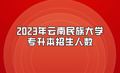2023年云南民族大學專升本招生人數