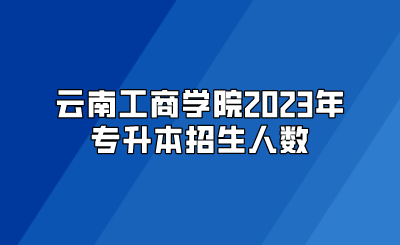 云南工商學院2023年專升本招生人數