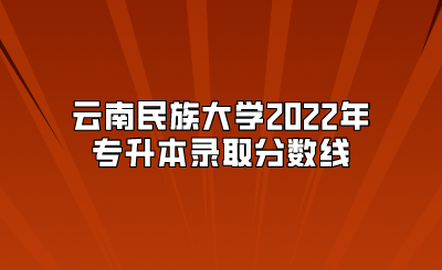 云南民族大學2022年專升本錄取分數(shù)線