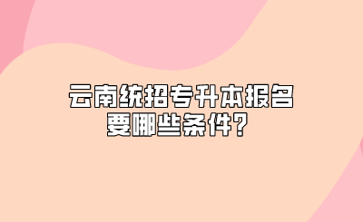 云南統招專升本報名