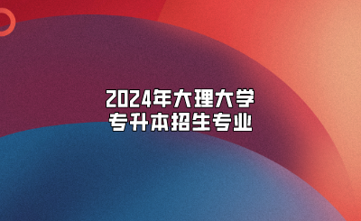 2024年大理大學專升本招生專業