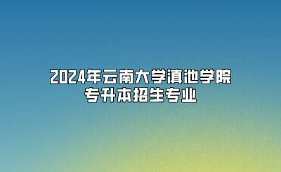 2024年云南大學滇池學院專升本招生專業(yè)