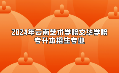 2024年云南藝術(shù)學院文華學院專升本招生專業(yè)