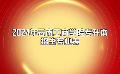 2024年云南工商學院專升本招生專業表