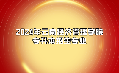 2024年云南經(jīng)濟管理學院專升本招生專業(yè)