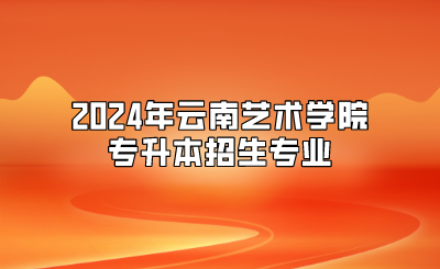 2024年云南藝術學院專升本招生專業