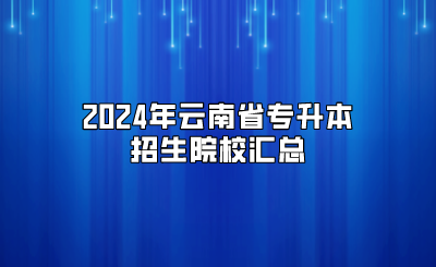 2024年云南省專(zhuān)升本招生院校匯總