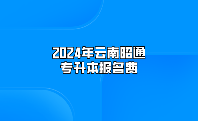 2024年云南昭通專升本報名費