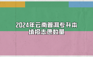 2024年云南普洱專升本填報(bào)志愿數(shù)量