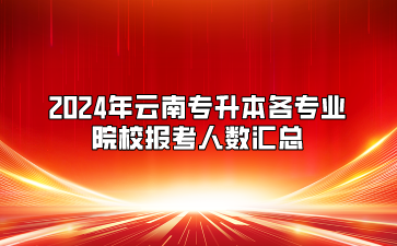 2024年云南專升本各專業(yè)院校報考人數(shù)匯總