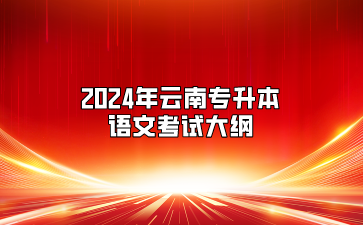 2024年云南專升本語文考試大綱