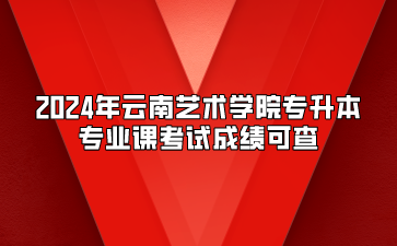 2024年云南藝術學院專升本專業課考試成績公示