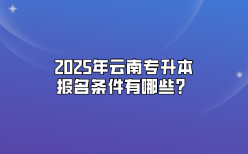 2025年云南專升本報名條件有哪些？